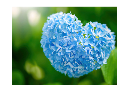 夏バテ?梅雨バテ?