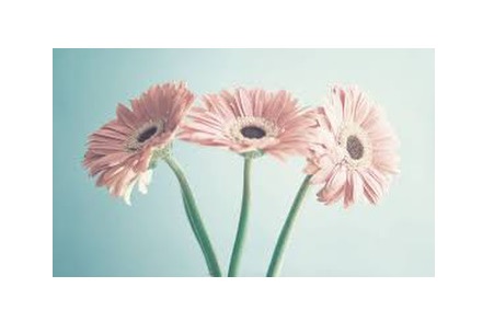 いつもご利用頂きありがとうございます☆